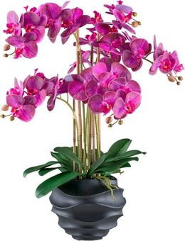 Kunstorchidee Orchidee Phalaenopsis, Creativ green, Höhe 70 cm, im Design-Topf