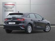 Kia Ceed 1.0 T--GDI Silber //PDC/DAB/Winterpaket - Thannhausen