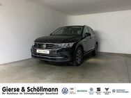 VW Tiguan, 1.5 TSI Life, Jahr 2023 - Schmallenberg