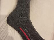 Getragene Herren Socken Gr.43 - Offenburg