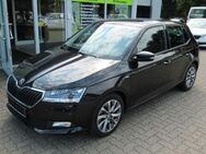 Skoda Fabia 1.0 Clever Navi PDC Panorama - Rotenburg (Wümme)