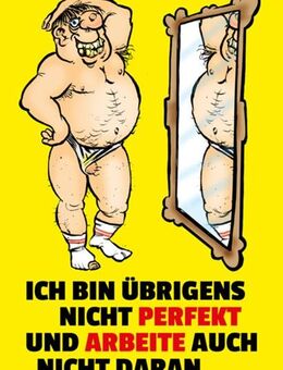 Witziges Blechschild Ich bin übrigens nicht perfekt und arbeite auch nicht daran 20x30 cm - München