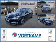 VW Golf Variant, 1.6 TDI Join, Jahr 2019 - Gronau (Westfalen)