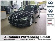 VW Golf, 1.0 TSI VII CL, Jahr 2019 - Wittenberg (Lutherstadt) Wittenberg