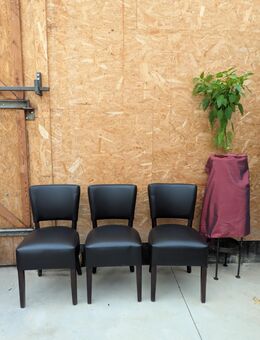 Stühle gepolstert (Gastronomiestühle, insgesamt 50 Stück) - Witten