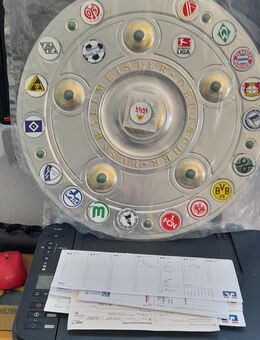 Bundesliga Magnet Tafel für Sammler - Sachsenheim