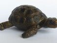 Schleich-Figur Schildkröte in 48155