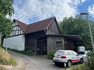 PFERDE u. NUTZTIERHALTER TRAUM! Immobilienpaket mit Urigem Bauernhaus, idyllische Weiden, Reitplatz - Kandern