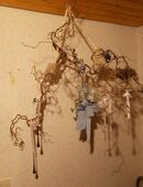 Korkenzieher- Hasel-Astwerk 26 € in 51645