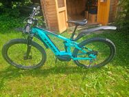 Trek E-Mountainbike zu verkaufen - Herrsching (Ammersee)