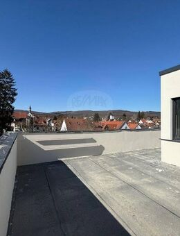 Exklusive Penthouse-Wohnung mit großer Dachterrasse - Bad Homburg (Höhe)