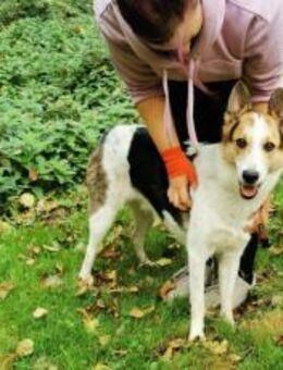 Wer schenkt Loon ein Leben voller Liebe? - München