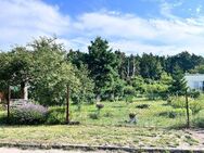 Ruhiges Baugrundstück am Waldrand - Am Mellensee