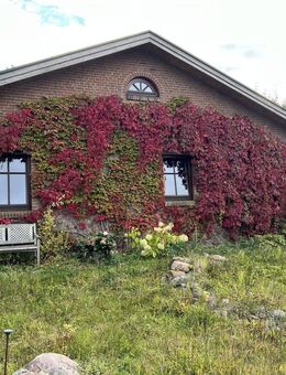 Charmante Einliegerwohnung mit Terrasse in Flensburg - Flensburg