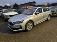 Skoda Octavia, Combi Selection E, Jahr 2024 - Buchholz (Nordheide)