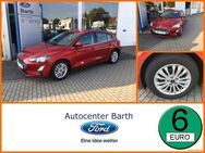 Ford Focus, 1.0 EcoBoost Mild-Hybrid S S Titanium, Jahr 2020 - Grimmen