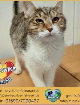 Ludowika sucht ihr Happy Home! - Waakirchen