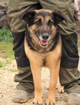 Roxana VA liebe Seele sucht ihr Glück - Neustadt (Rübenberge)