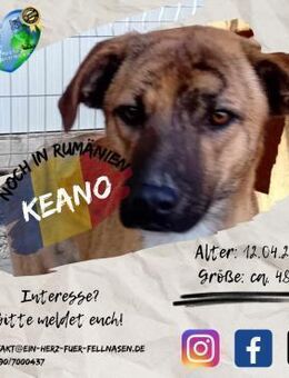 KEANO - topfit für Dich bereit! - Waakirchen