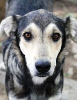 Der liebe Grisu verzauberte uns sofort! - Karben