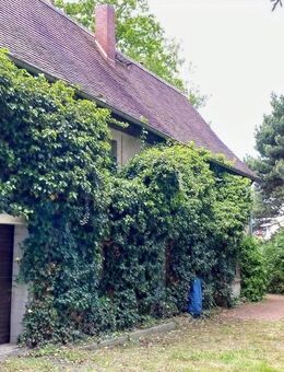 In idyllischer Randlage! - Mittelherwigsdorf