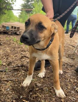 Fröhlich klug sozial = GINA ♥️ - München