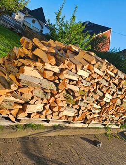 Brennholz Buche - Kelberg