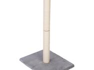 zooplus Basics Kratzstamm - grau