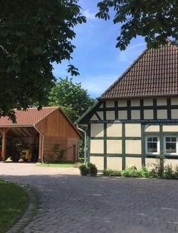 Hofanlage sehr gepflegt für bis zu 20 Pferde in herrlicher Alleinlage - Martfeld