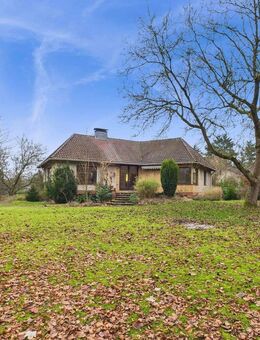 Architektenhaus mit XXL Grundstück am Waldrand - Bomlitz