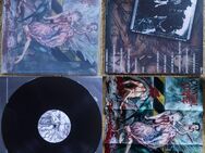 7 x Cannibal Corpse Vinyl Death Metal Sammlung / 2 - Großschönau