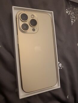 Iphone 13 pro 256gb interner speicher*defekt - Leipzig