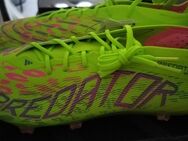 Adidas Predator Elite FG - Gladbeck