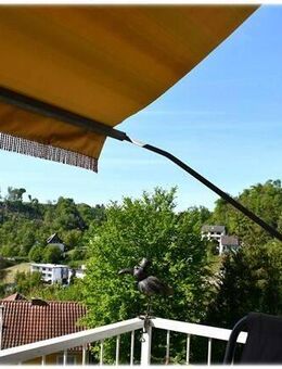 RESERVIERT! Edersee-Nähe inklusive: Wohnen, entspannen, genießen! - Waldeck (Hessen)