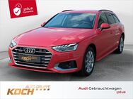Audi A4, Avant 40 TDI quattro, Jahr 2023 - Insingen