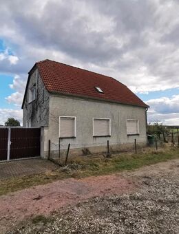 Charmantes Einfamilienhaus mit großem Grundstück und viel Gestaltungspotenzial in Kemberg - Gräfenhainichen Jüdenberg