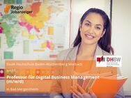 Professur für Digital Business Management (m/w/d) - Bad Mergentheim