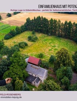 Renovierungsbedürftiges Einfamilienhaus mit großem Grundstück in Döbeln - Döbeln