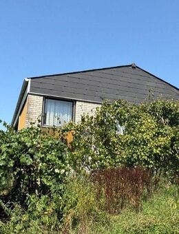 Ein Unikat für Naturliebhaber! - Schonungen