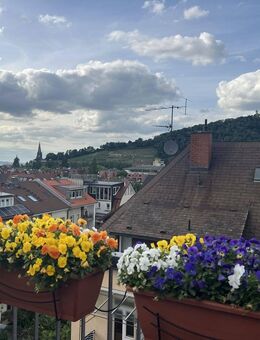 FREIBURG FEELING PUR! Traumhafte 3-Zimmer-Maisonette-Wohnung mit Aufzug, Stellplatz und Dachterrasse - Freiburg (Breisgau)