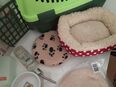 Zubehör für Meerschweinchen, Zwerghasen in 72525