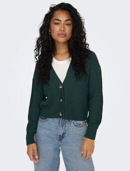 ONLY Strickjacke ONLCAROL NICE L/S CARDIGAN KNT NOOS