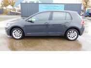 VW Golf, 1.6 VII Comfortline TDI 4Trg, Jahr 2019 - Vordorf