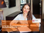 Leiter der Abteilung Haushalt und Beschaffung (w/m/d) - Brandenburg (Havel)