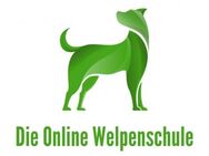 Online Hundeschule: Welpenkurs Online Hundetraining Mitgliederbereich und Video-Kurse - Hildesheim
