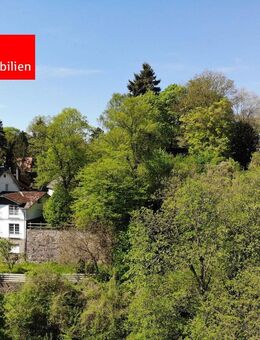 Rarität - Jugendstilvilla, Gästehaus, Reitplatz und Stallungen zentral und ruhig gelegen! - Dillenburg