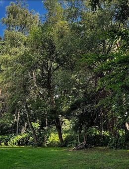 Sonnenverwöhntes Naturdomizil mit Urlaubsflair im Wannebachtal - Dortmund