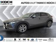 Mazda CX-30, 2.0 L X AWD TOP, Jahr 2019 - Berlin