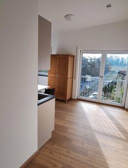 Helles 1-Zimmer Apartment in ruhiger und zentraler Lage - Neuburg (Donau)