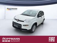 Fiat Panda, 1.0 PANDINA ) GSE CITY-PAKET, Jahr 2022 - Siegen (Universitätsstadt)